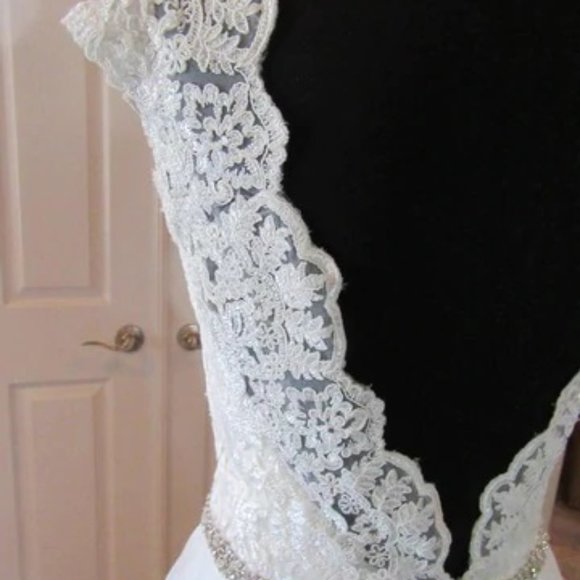 BRAND NEW! NEVER WORN! Allure 2851 Wedding Dress (Size 10, Champagne and Ivory) - Picture 9 of 15